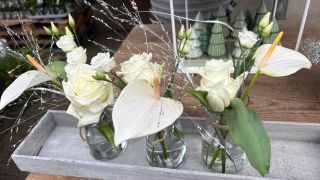 Dekoratives Stillleben mit blauen Irisblüten, Orchideen, Pampasgras, Glasvasen und Kerzen auf Wandregalen.